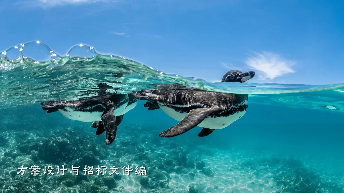 方案设计与招标文件编