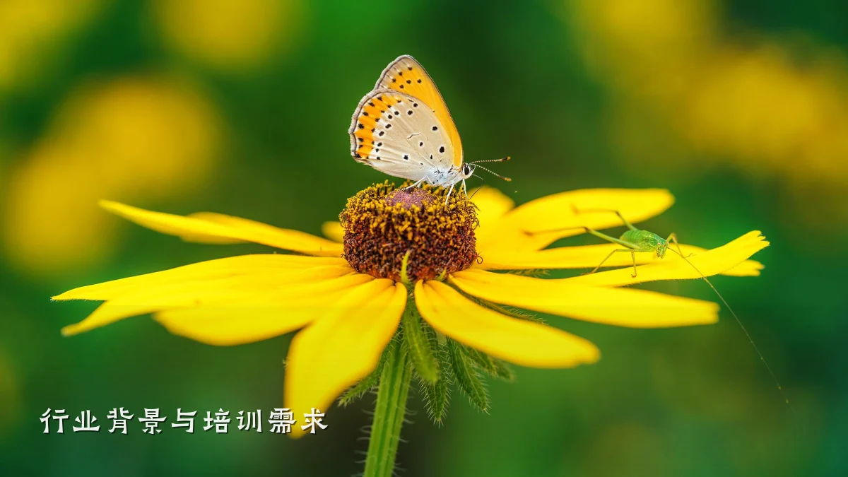 行业背景与培训需求