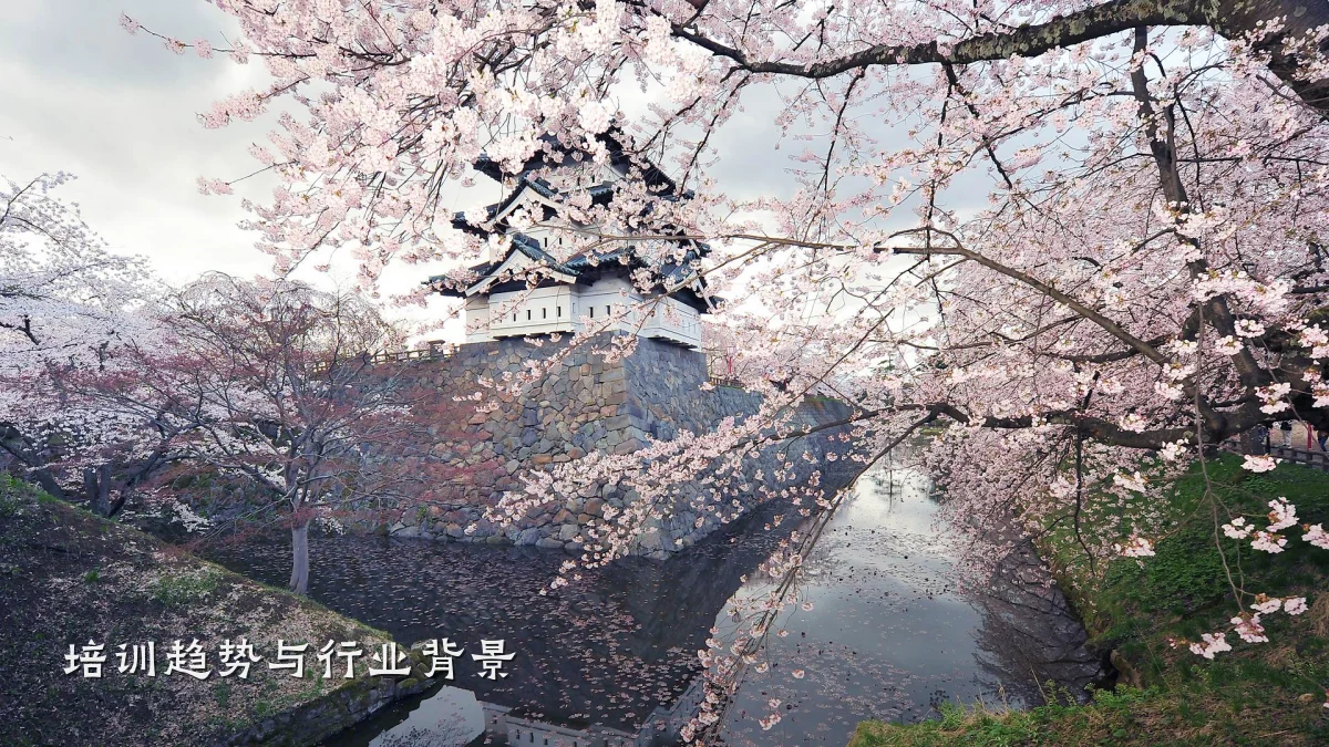 培训趋势与行业背景