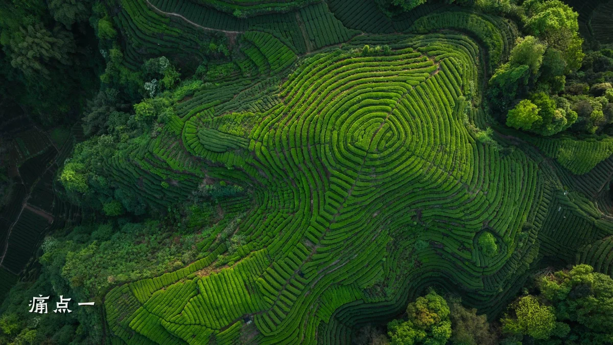 痛点一