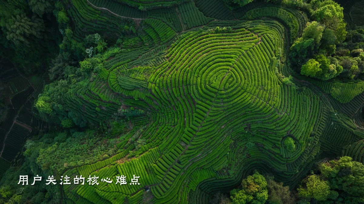 用户关注的核心难点