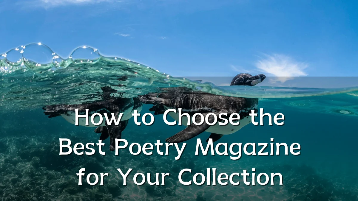 How to Choose the Best Poetry Magazine for Your Collection