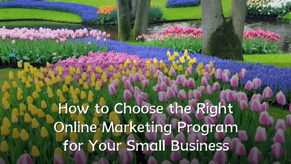 How to Choose the Right Online Marketing Program for Your Small Business