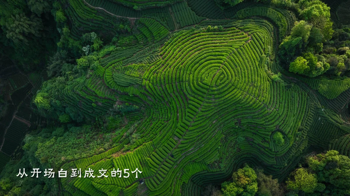 从开场白到成交的5个