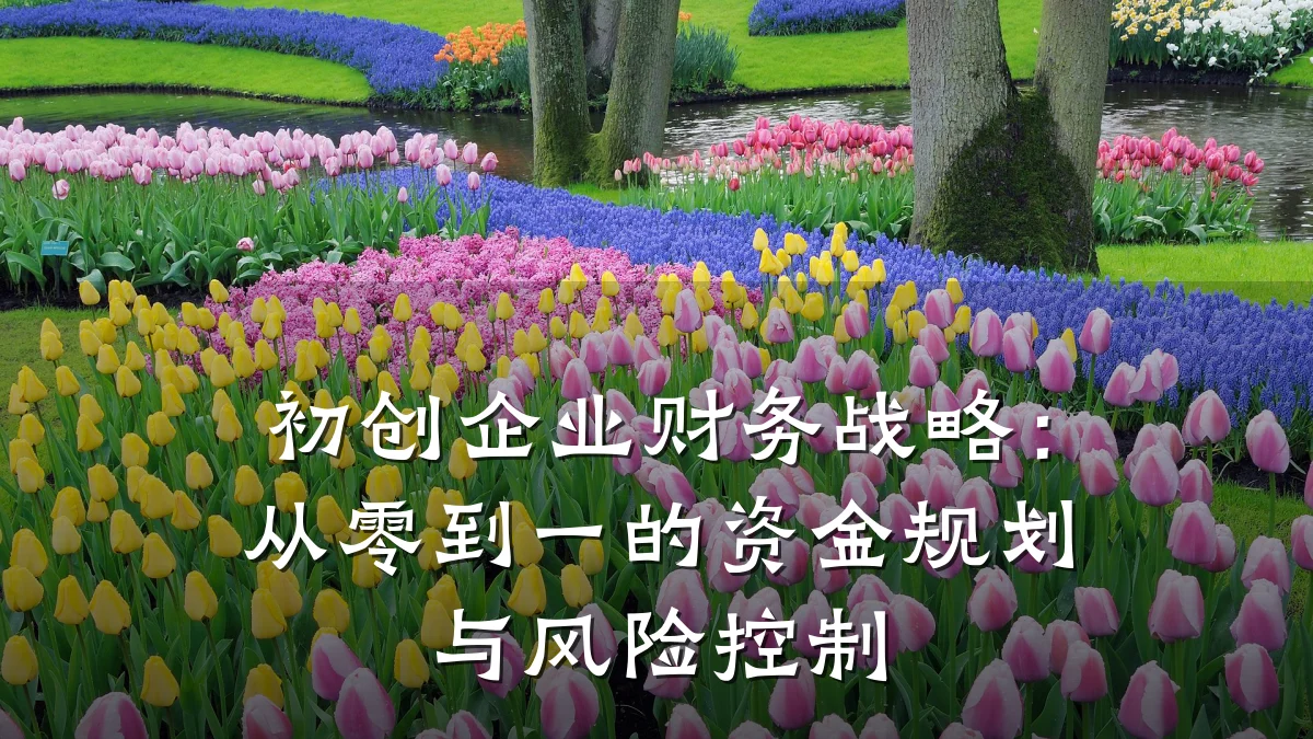 初创企业财务战略：从零到一的资金规划与风险控制