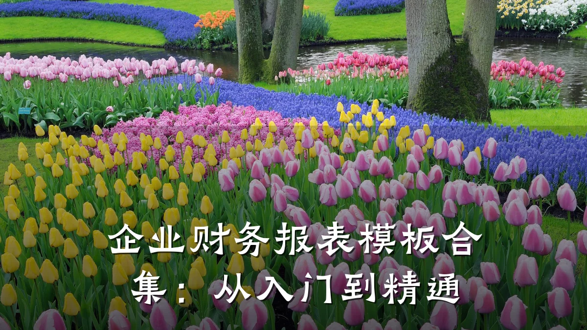 企业财务报表模板合集：从入门到精通